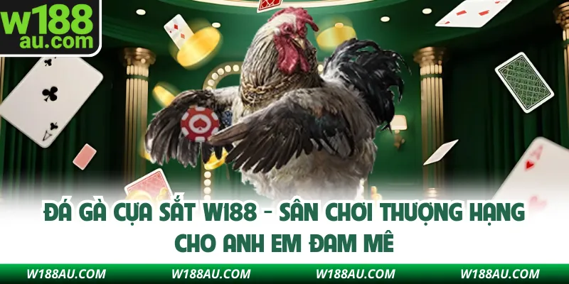 Đá Gà Cựa Sắt W188 - Sân Chơi Thượng Hạng Cho Anh Em Đam Mê