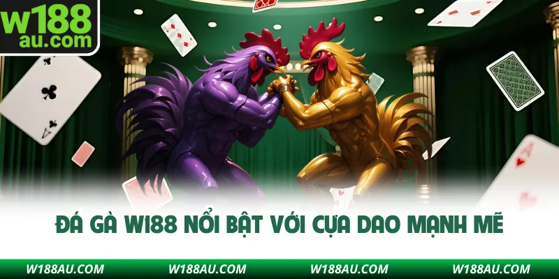 Đá gà W188 nổi bật với cựa dao mạnh mẽ